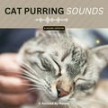 Cat Purring Sounds – 8 Hour Sound