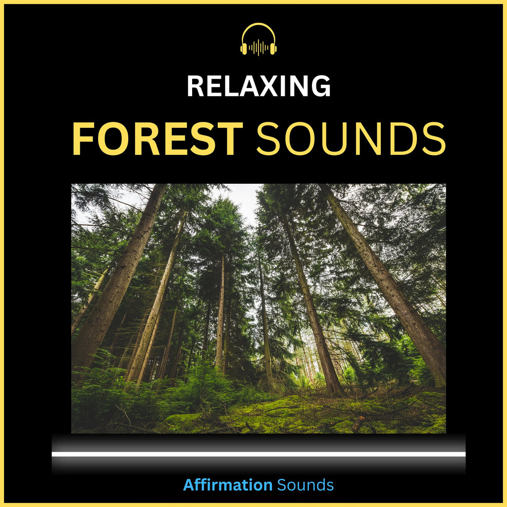 Forest Sounds – 6 Hour Sound