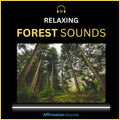 Forest Sounds – 6 Hour Sound