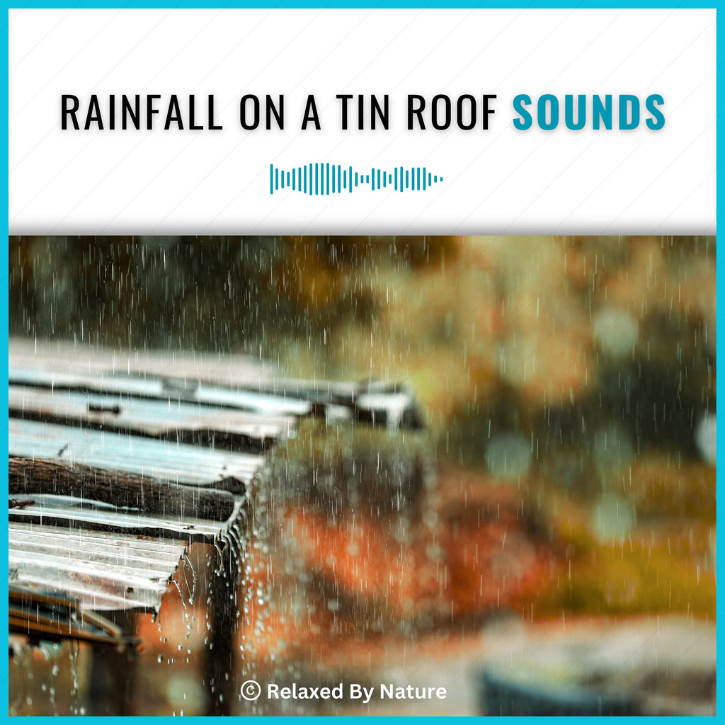 Rain on Tin Roof Sounds – 4 Hour Sound