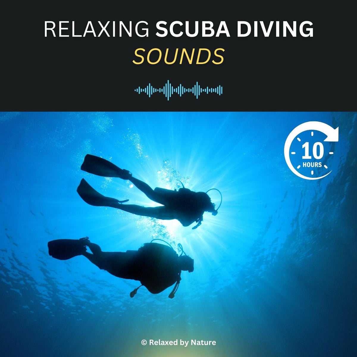Scuba Diving Sounds for Sleep & Relaxation – 10 Hour Audio – Relaxed by ...