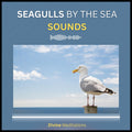 Seagulls at the Sea Sounds – 6 Hour Sound