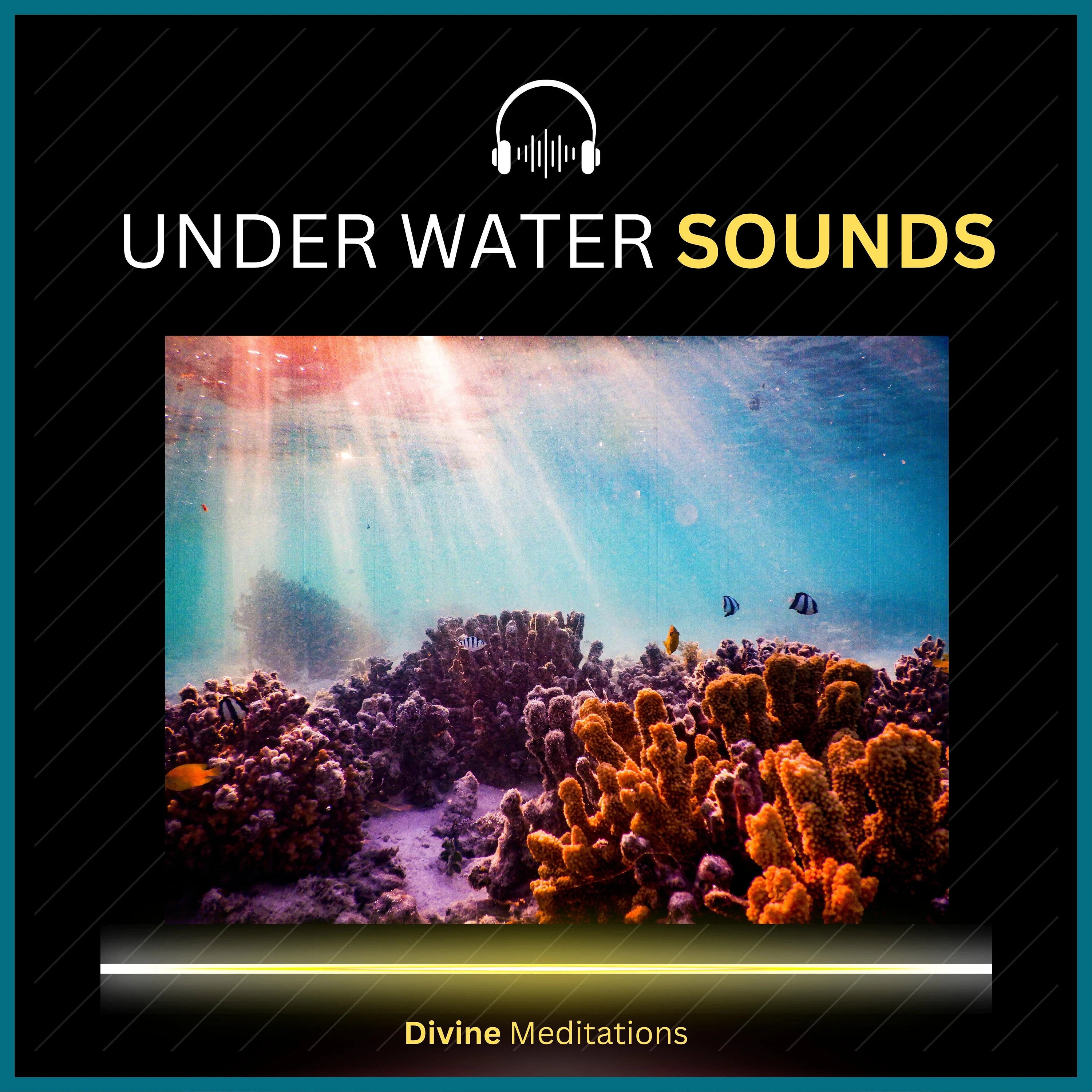 Underwater Nature Sounds – 4 Hour Sound