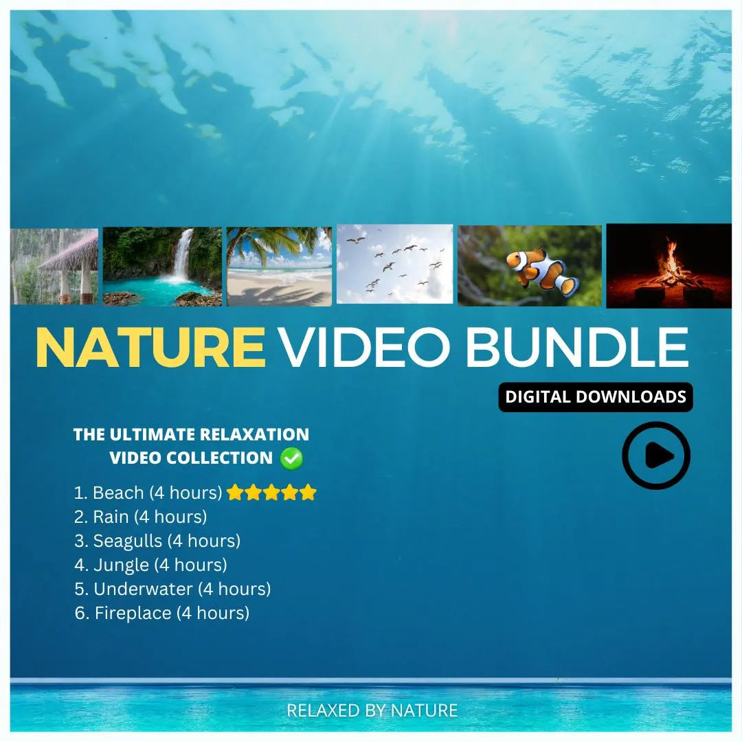 Nature Video Bundle – 6 Scenes
