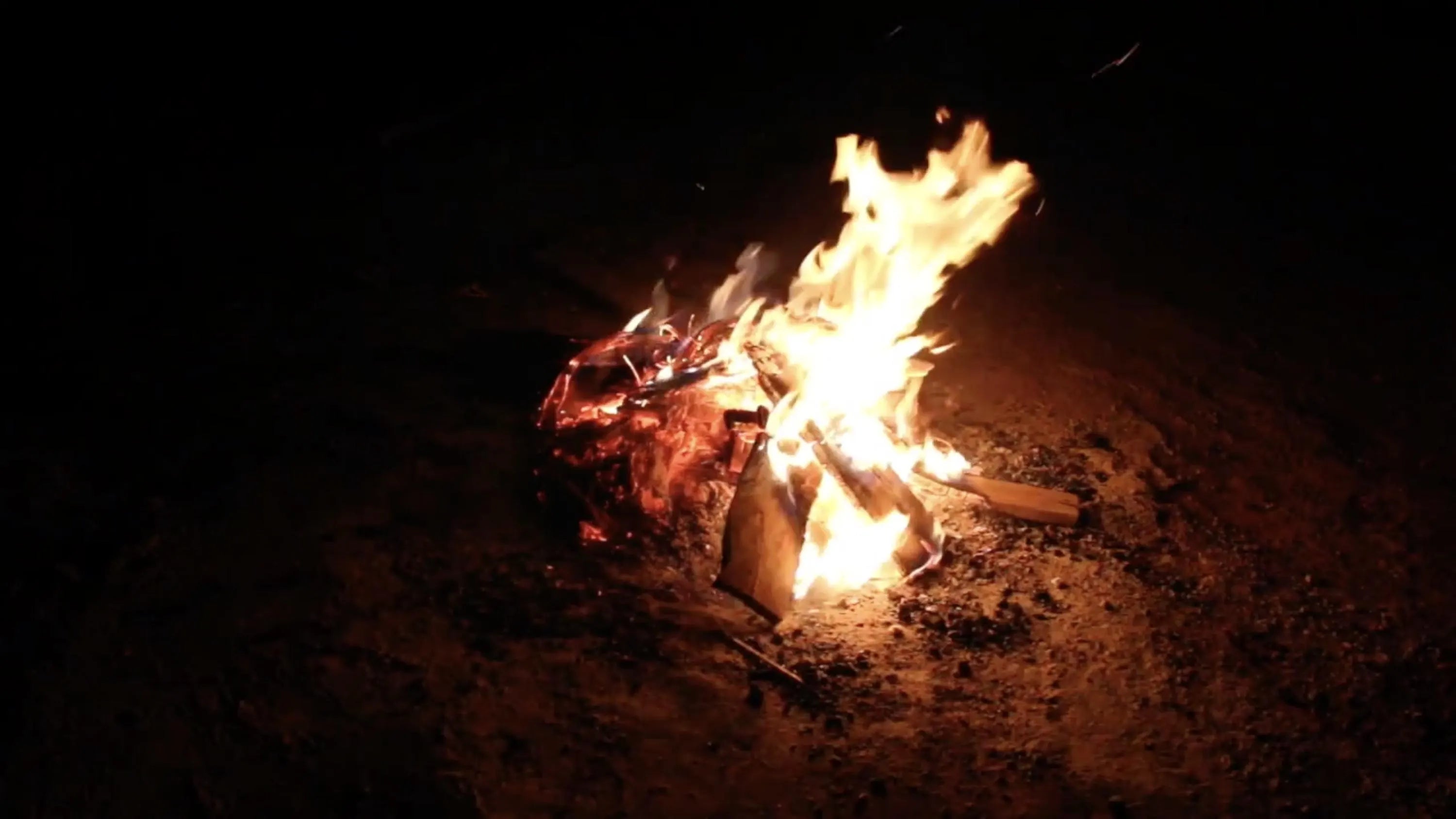 Nature Video Bundle – 6 Scenes