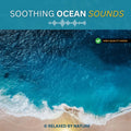 Ocean Beach Sounds – 8 Hour Calming Wave Audio